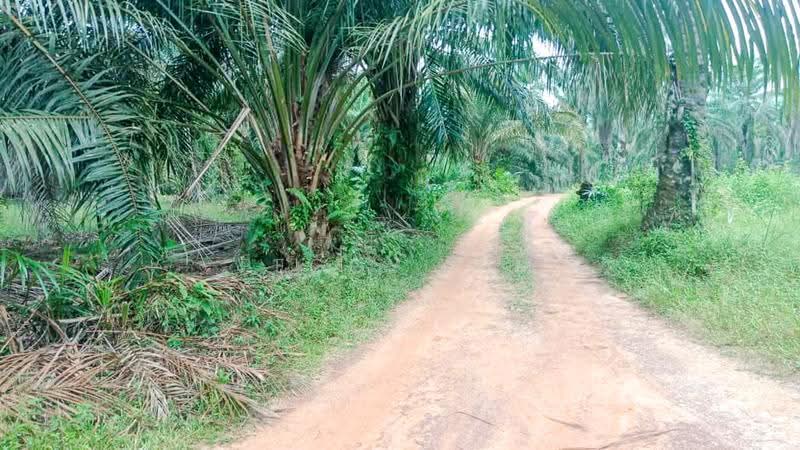 Agricultural Land for Rent in Semenyih (Selangor) - Peggy Lim - Exterior - PropertyGuru.com.my