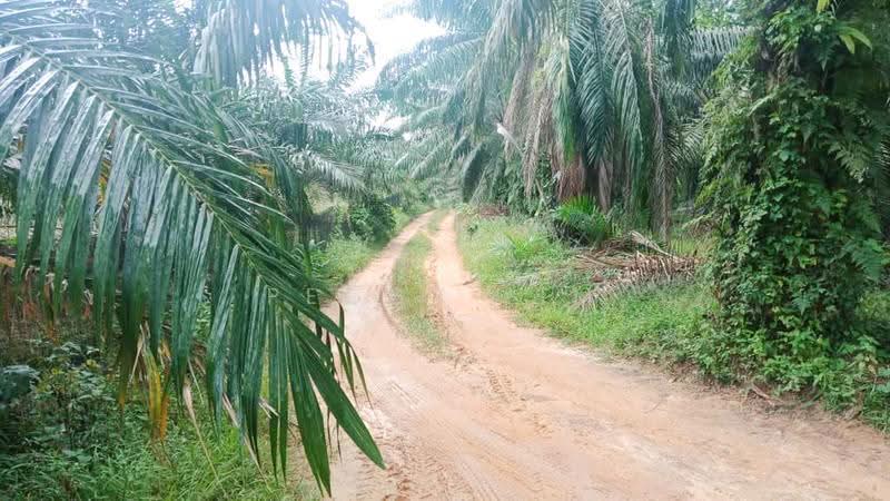 Agricultural Land for Rent in Semenyih (Selangor) - Peggy Lim - Exterior - PropertyGuru.com.my