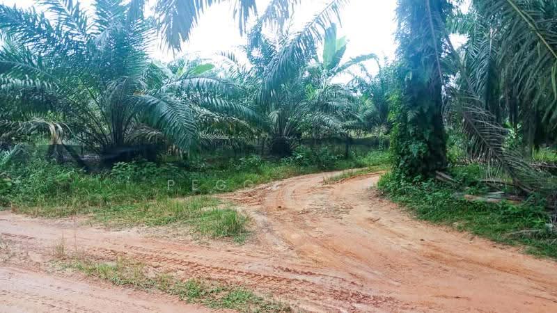 Agricultural Land for Rent in Semenyih (Selangor) - Peggy Lim - Exterior - PropertyGuru.com.my