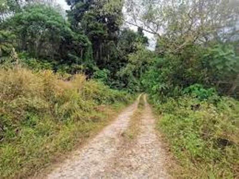Agricultural Land for Rent in Semenyih (Selangor) - Peggy Lim - Exterior - PropertyGuru.com.my