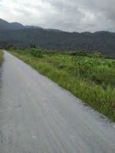 Agricultural Land for Rent in Semenyih (Selangor) - Peggy Lim - Exterior - PropertyGuru.com.my