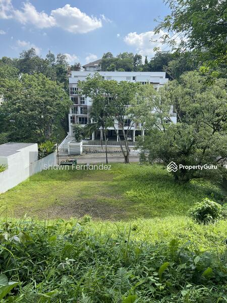 View from the top entrance