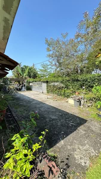 Bungalow for Sale in Kampung Tunku (Petaling Jaya) - Asyran Laidin - Garden - PropertyGuru.com.my