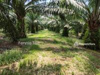 For Sale - Teluk Intan