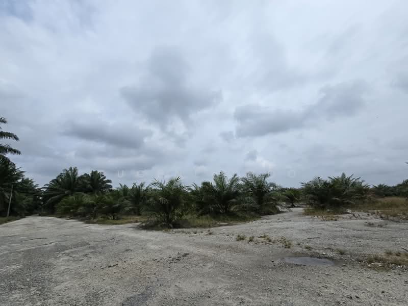 Agricultural Land for Sale in Seri Manjung (Sitiawan) - Eugene Choo - Exterior - PropertyGuru.com.my