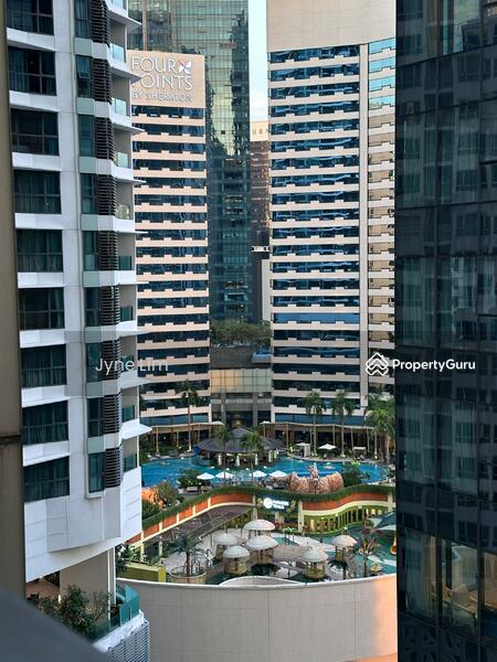 View