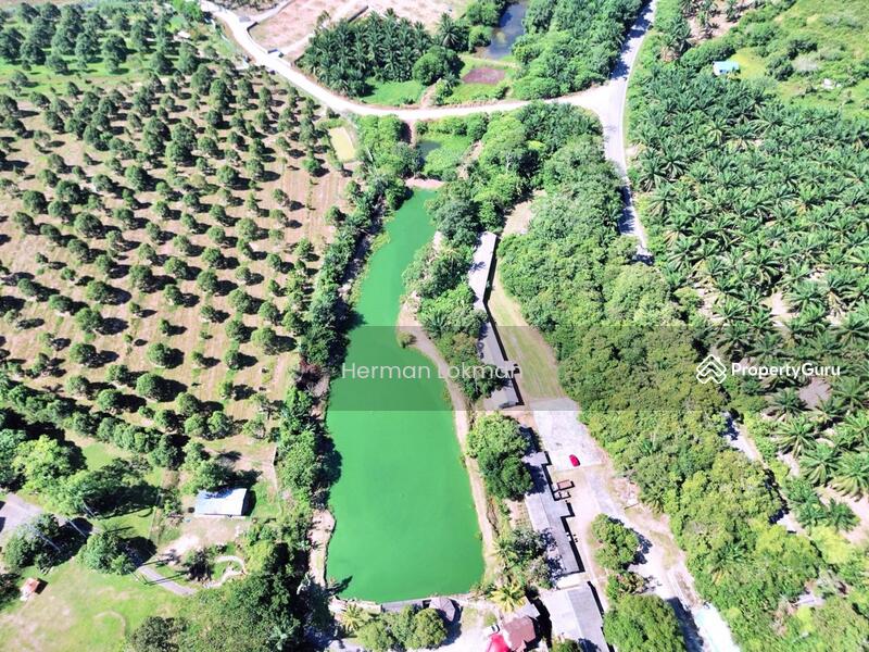 Hotel / Resort for Sale in Durian Tunggal (Melaka) - Herman Lokman - View - PropertyGuru.com.my