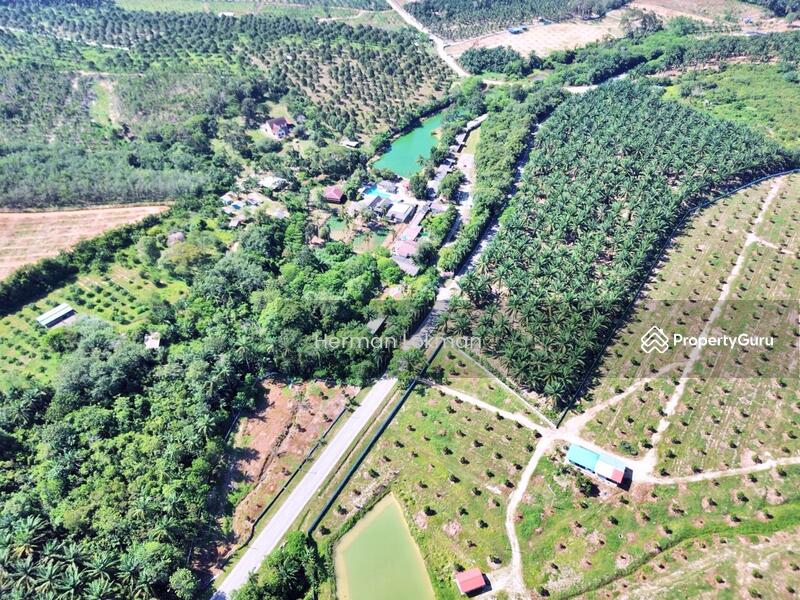 Hotel / Resort for Sale in Durian Tunggal (Melaka) - Herman Lokman - Others - PropertyGuru.com.my