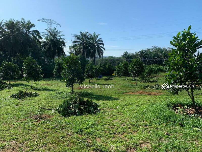 Tanah Kediaman untuk Dijual di Setia Ecohill (Semenyih) - Michelle Teoh - Garden - PropertyGuru.com.my