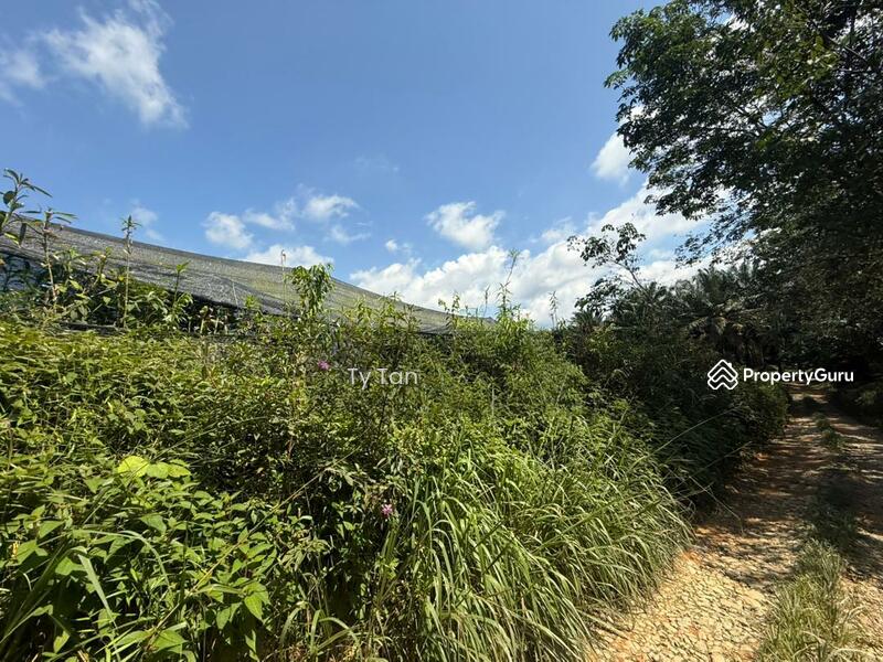 Agricultural Land for Sale in Kota Tinggi (Johor) - TY Tan - Others - PropertyGuru.com.my