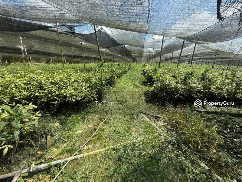Agricultural Land for Sale in Kota Tinggi (Johor) - TY Tan - Others - PropertyGuru.com.my