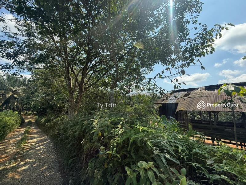 Agricultural Land for Sale in Kota Tinggi (Johor) - TY Tan - PropertyGuru.com.my
