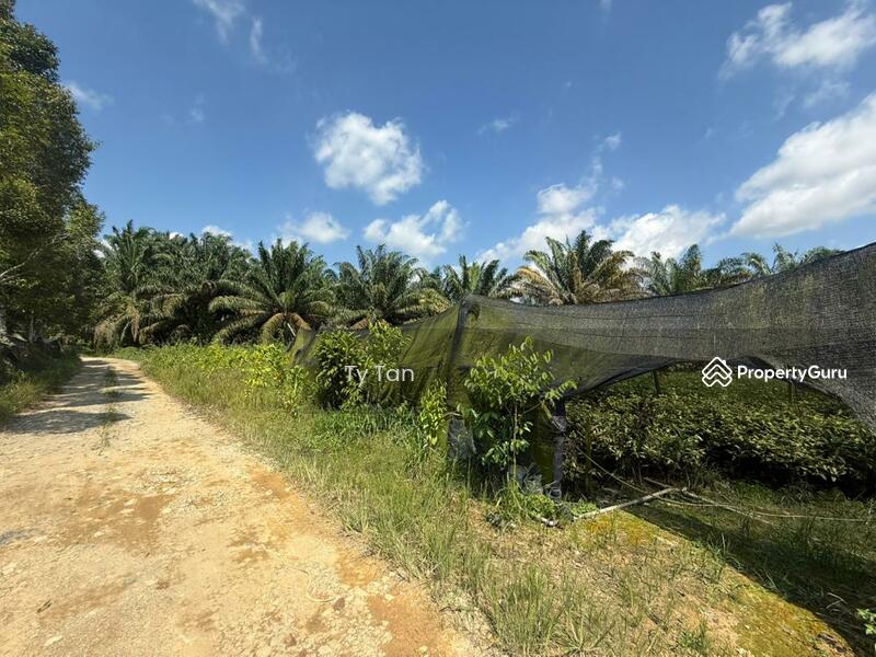 Agricultural Land for Sale in Kota Tinggi (Johor) - TY Tan - Others - PropertyGuru.com.my