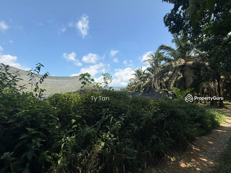 Agricultural Land for Sale in Kota Tinggi (Johor) - TY Tan - Others - PropertyGuru.com.my