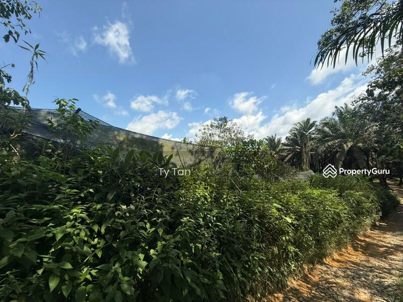 Agricultural Land for Sale in Kota Tinggi (Johor) - TY Tan - Garden - PropertyGuru.com.my