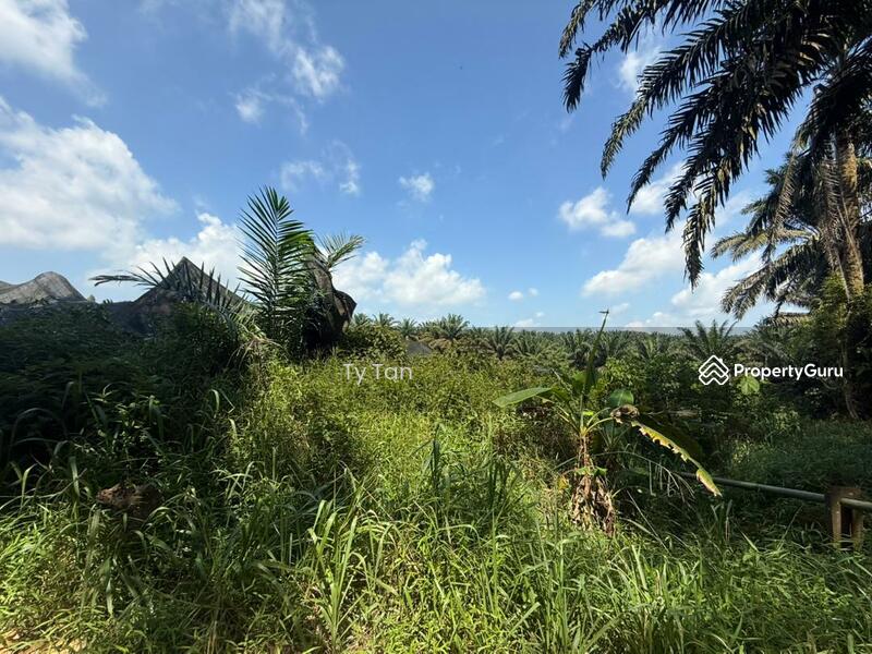 Agricultural Land for Sale in Kota Tinggi (Johor) - TY Tan - Garden - PropertyGuru.com.my