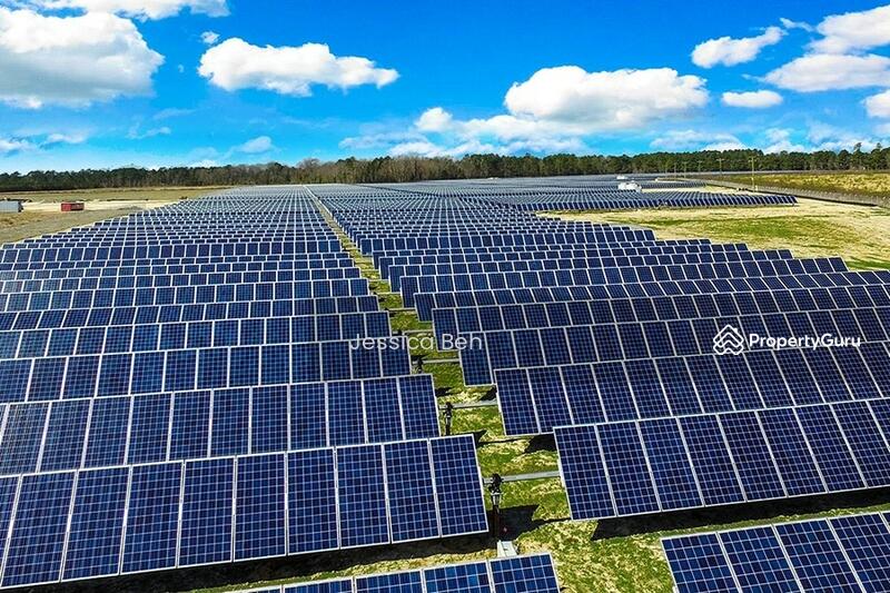 Solar farm potential