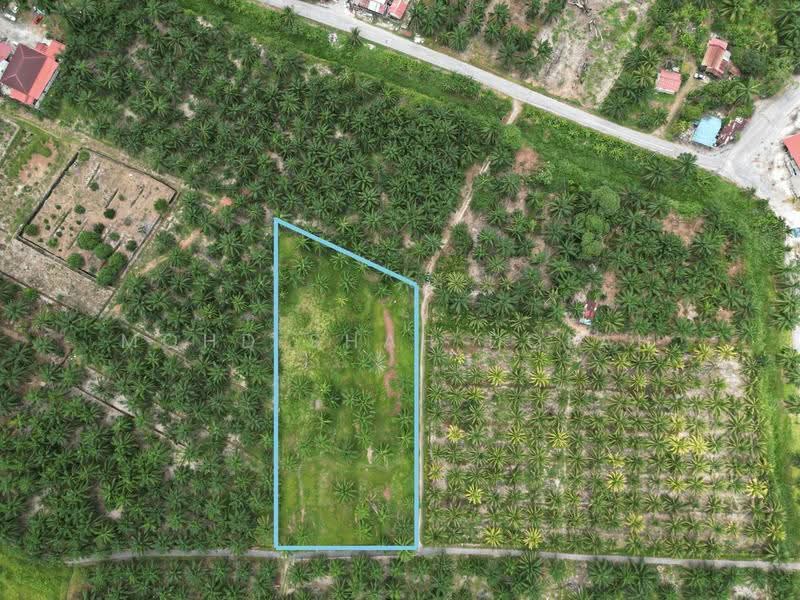 Agricultural Land for Sale in Kampung Bukit Belimbing (Kuala Selangor) - Mohd Shah Dolah - PropertyGuru.com.my