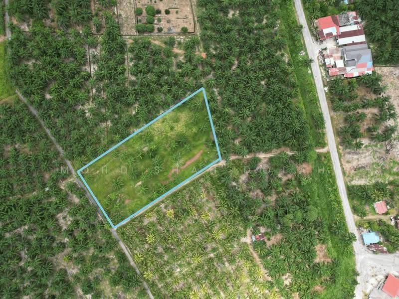 Agricultural Land for Sale in Kampung Bukit Belimbing (Kuala Selangor) - Mohd Shah Dolah - PropertyGuru.com.my