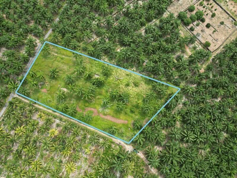 Agricultural Land for Sale in Kampung Bukit Belimbing (Kuala Selangor) - Mohd Shah Dolah - PropertyGuru.com.my