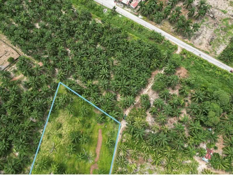 Agricultural Land for Sale in Kampung Bukit Belimbing (Kuala Selangor) - Mohd Shah Dolah - PropertyGuru.com.my