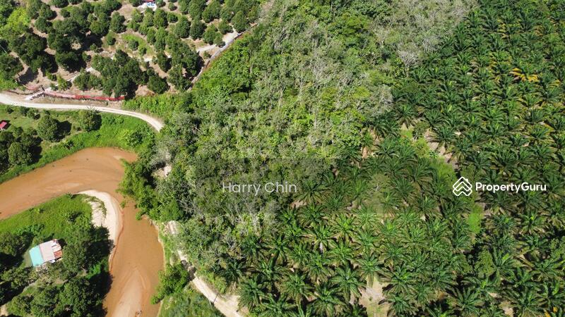 Untuk Dijual - 3.82acre, rubber land with stream, Karak, Kampung Sungai Perdak, Kampung Baru Sungai Perdak, Telemon