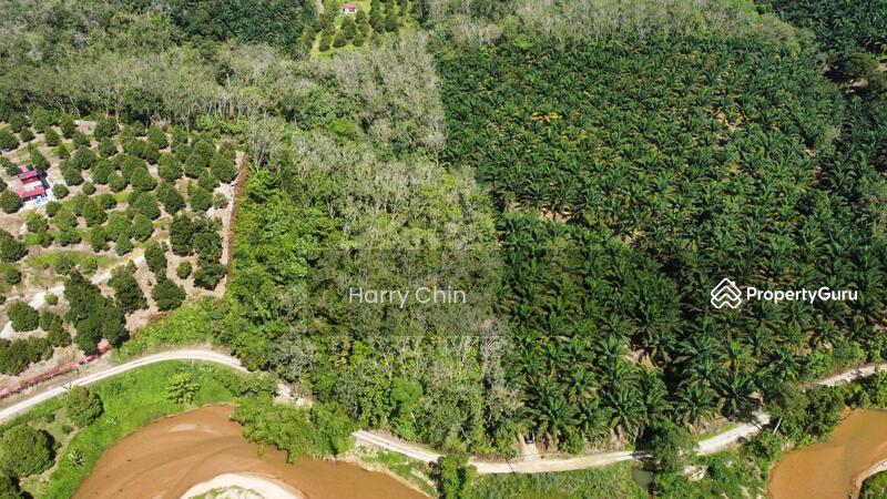 Untuk Dijual - 3.82acre, rubber land with stream, Karak, Kampung Sungai Perdak, Kampung Baru Sungai Perdak, Telemon