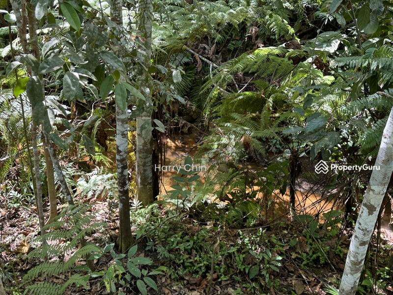 Untuk Dijual - 3.82acre, rubber land with stream, Karak, Kampung Sungai Perdak, Kampung Baru Sungai Perdak, Telemon