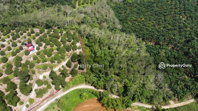 Untuk Dijual - 3.82acre, rubber land with stream, Karak, Kampung Sungai Perdak, Kampung Baru Sungai Perdak, Telemon