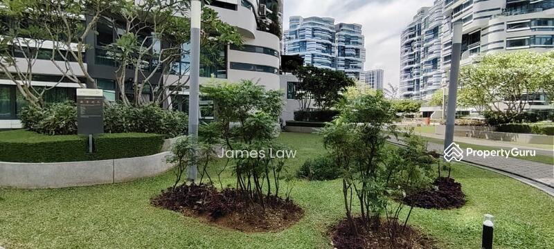 Herbs Garden