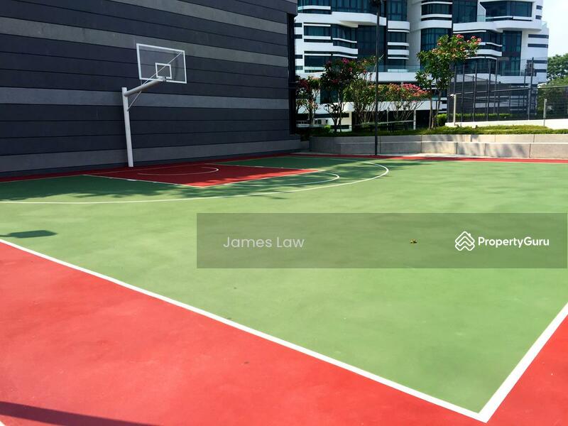 Basketball Court
