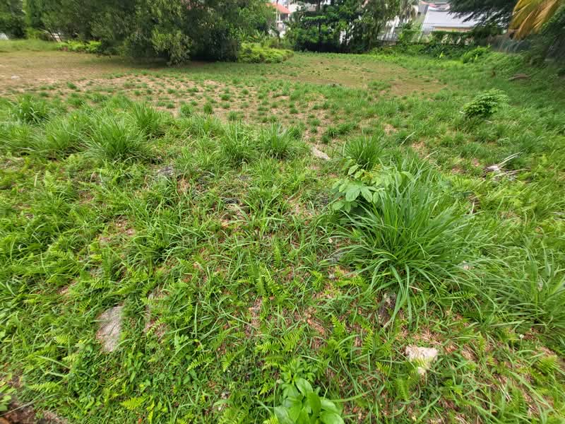 Tanah Kediaman untuk Dijual di Taman Overseas Union (Taman Oug) (Jalan Klang Lama (Old Klang Road)) - Bobo Lee - PropertyGuru.com.my