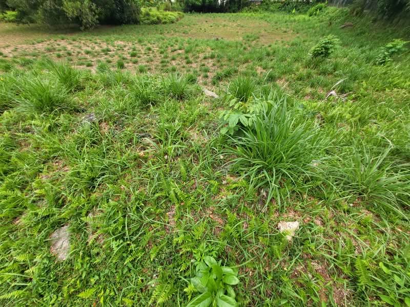 Tanah Kediaman untuk Dijual di Taman Overseas Union (Taman Oug) (Jalan Klang Lama (Old Klang Road)) - Bobo Lee - PropertyGuru.com.my