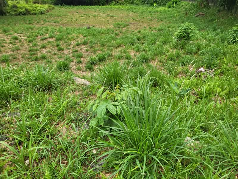 Tanah Kediaman untuk Dijual di Taman Overseas Union (Taman Oug) (Jalan Klang Lama (Old Klang Road)) - Bobo Lee - PropertyGuru.com.my