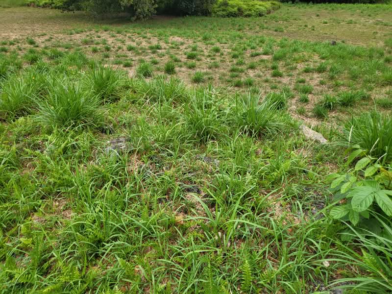 Tanah Kediaman untuk Dijual di Taman Overseas Union (Taman Oug) (Jalan Klang Lama (Old Klang Road)) - Bobo Lee - PropertyGuru.com.my