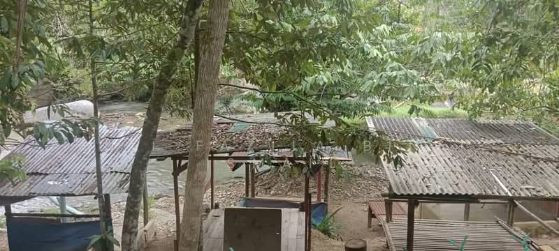 Agricultural Land for Sale in Kampung Janda Baik (Bentong) - Anil Fazila Binti Ismail - Others - PropertyGuru.com.my