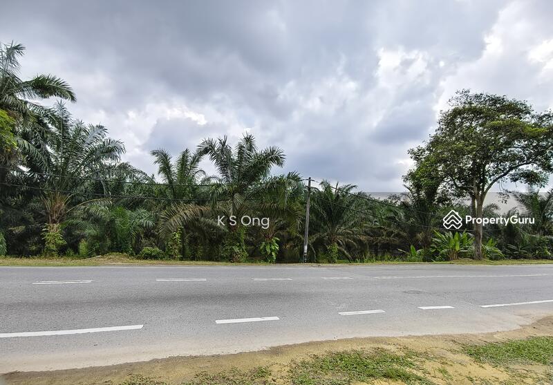 Agricultural Land for Sale in Kluang (Johor) - K S Ong - PropertyGuru.com.my