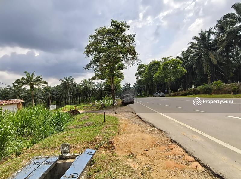 Agricultural Land for Sale in Kluang (Johor) - K S Ong - PropertyGuru.com.my