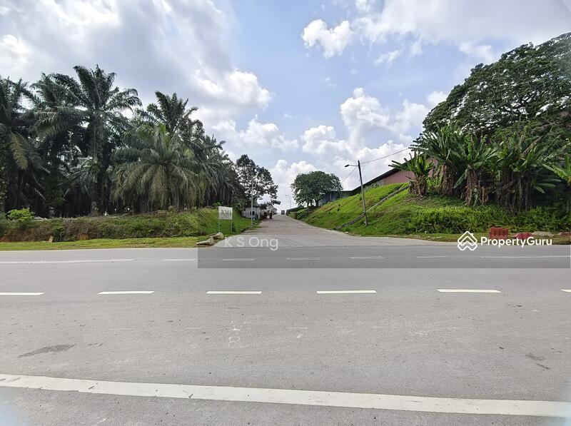 Agricultural Land for Sale in Kluang (Johor) - K S Ong - PropertyGuru.com.my