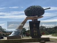 For Sale - Sang Lee Raub district Pahang