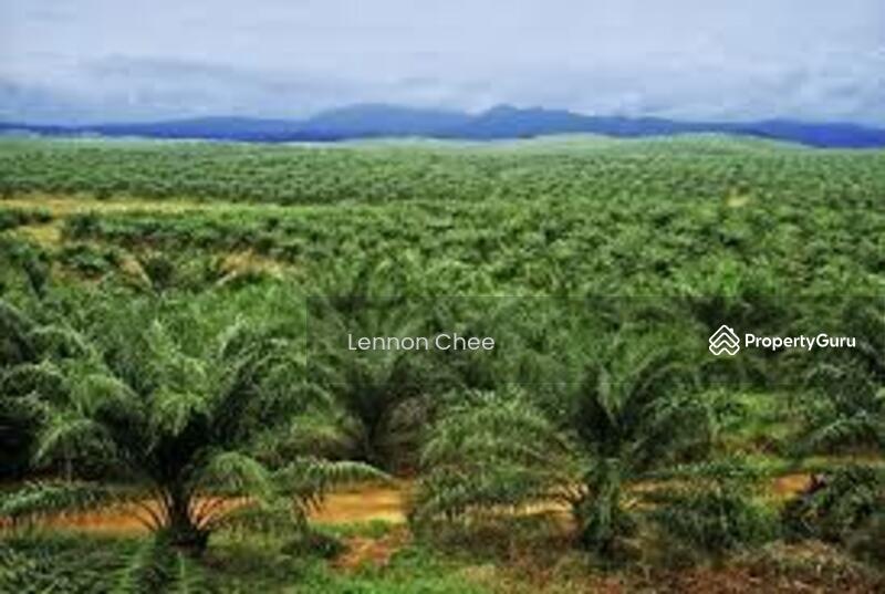 Untuk Dijual - Bukit Beruntung rasa