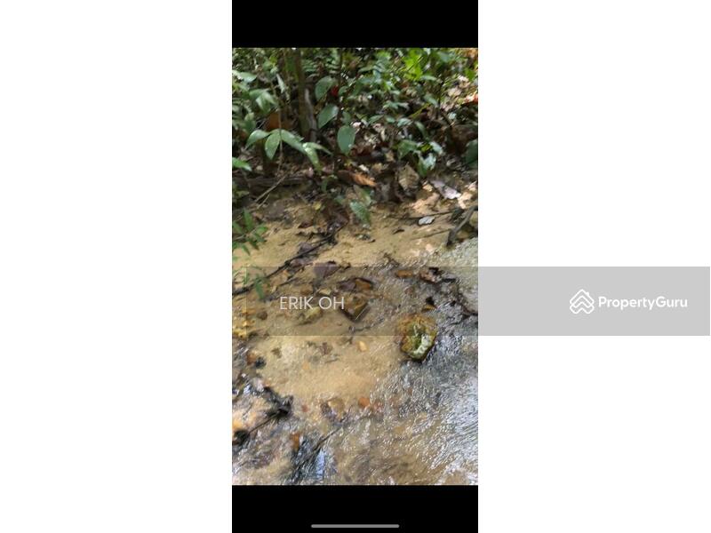 Agricultural Land for Sale in Kuala Kubu Bharu (Selangor) - Erik Oh - Others - PropertyGuru.com.my