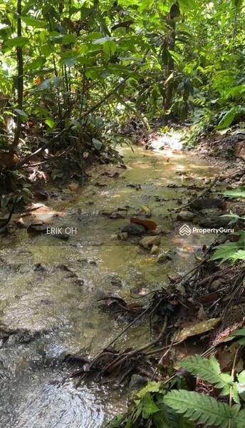 Agricultural Land for Sale in Kuala Kubu Bharu (Selangor) - Erik Oh - Others - PropertyGuru.com.my