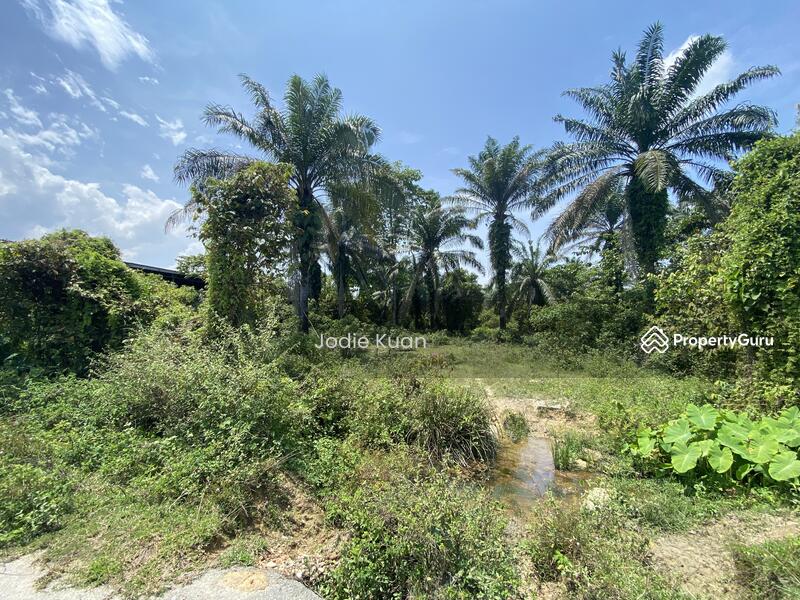 Flat Land 