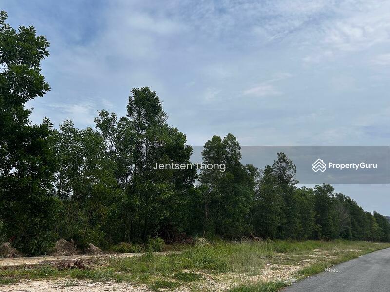 Industrial Land for Sale in Kawasan Perindustrian Sungai Choh (Serendah) - Jentsen Thong - Others - PropertyGuru.com.my