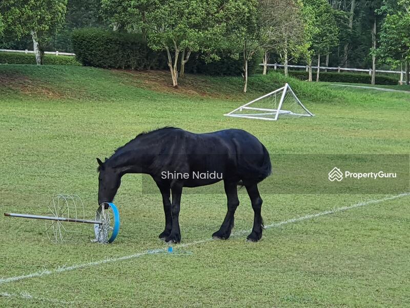 Leisure Farm untuk Untuk Disewa - RM 35,000 /bulan, Mac 2026 - Others - PropertyGuru.com.my