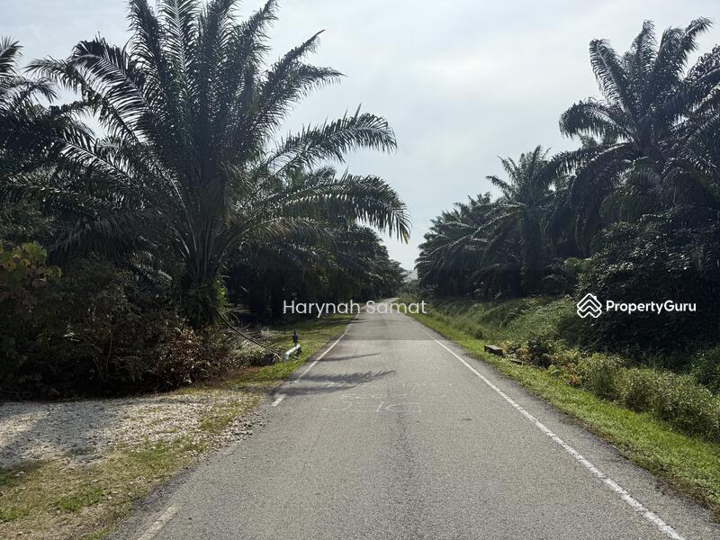 For Sale - Parit Sayang, Batu Pahat