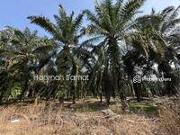 For Sale - Parit Sayang, Batu Pahat