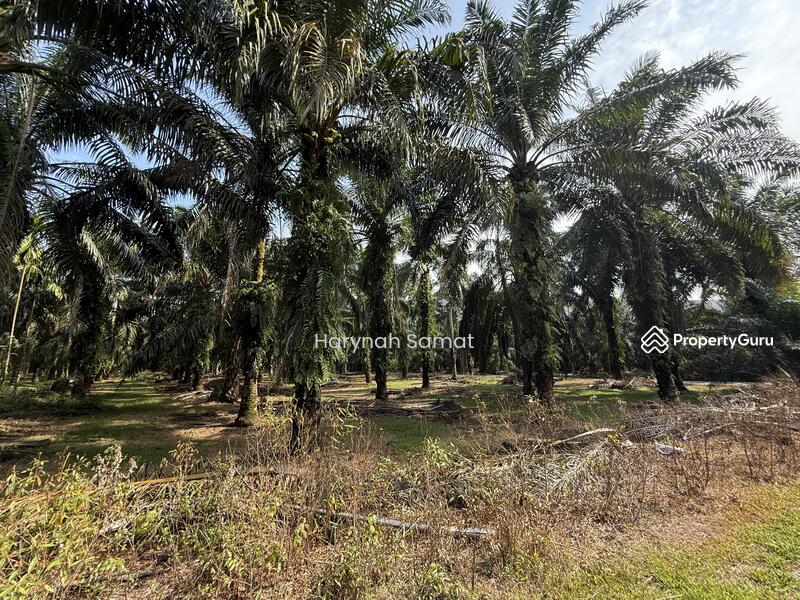 For Sale - Parit Sayang, Batu Pahat