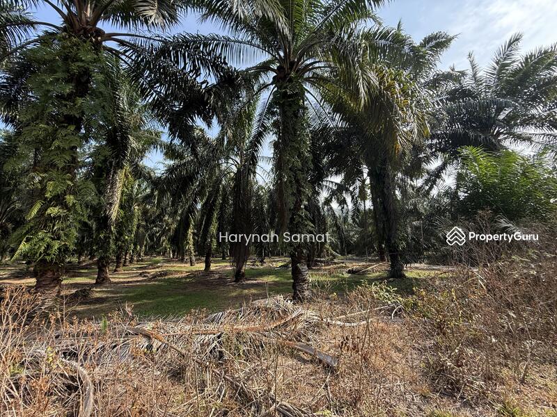 For Sale - Parit Sayang, Batu Pahat